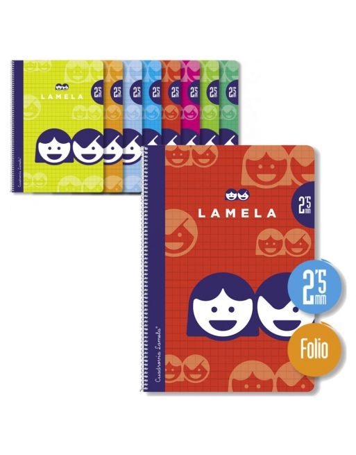 252213 CUADERNO BASICO FOLIO 80H C/2,5MM CUADROVIA LAMELA