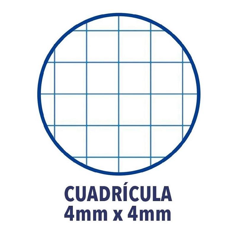 170877 LIBRETA A5+ 48HJ 70G CUADRO 4MM MRG T/CARTULINA GOFRADA PACSA