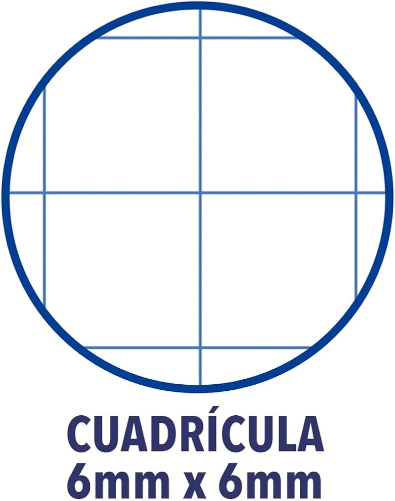 254840 LIBRETA A5+ 48HJ 70G CUADRO 6MM MRG T/CARTULINA GOFRADA PACSA