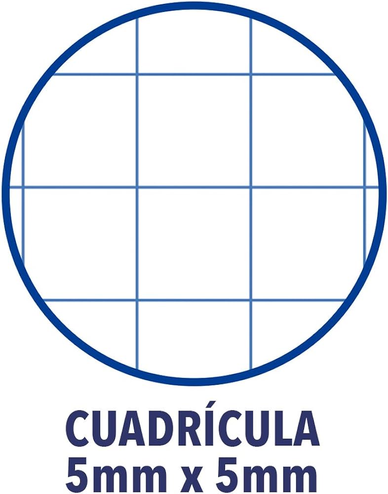 250095 LIBRETA A5+ 48HJ 90G CUADRO 5MM MRG T/PP FLEXIPAC PACSA.