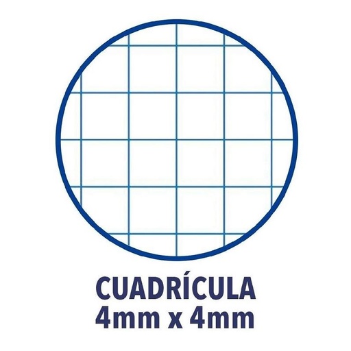 [20070] 170877 LIBRETA A5+ 48HJ 70G CUADRO 4MM MRG T/CARTULINA GOFRADA PACSA