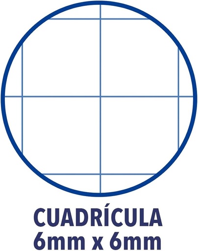 [20339] 254840 LIBRETA A5+ 48HJ 70G CUADRO 6MM MRG T/CARTULINA GOFRADA PACSA