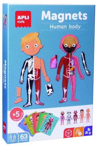 [18531] 255498 MAGNETS EL CUERPO HUMANO APLI 18531
